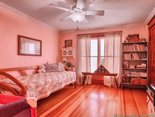 647 Cr 1900 E, Sidney, IL 61877 photo 15