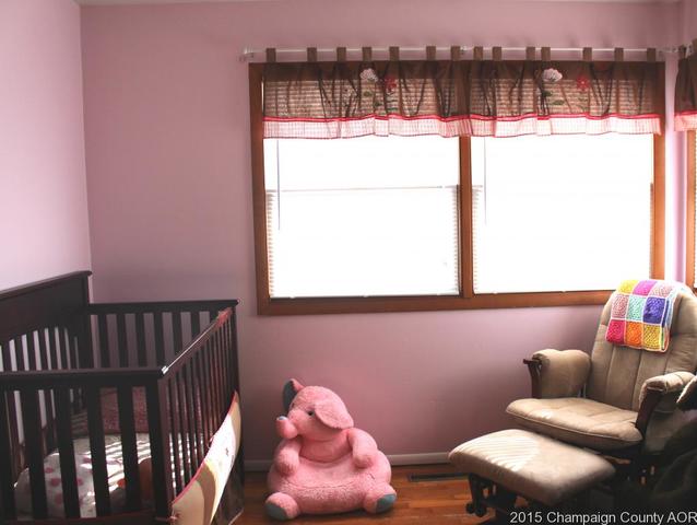 1006 Cr 2125 E, Sidney, IL 61877 photo 19