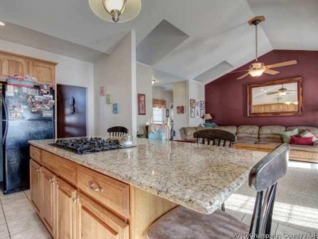 595 E Cr 500 North Rd, Hammond, IL 61929 photo 8