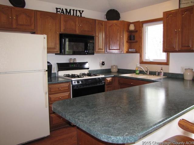 201 E Main St, Camargo, IL 61919 photo 6