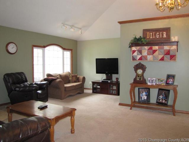 201 E Main St, Camargo, IL 61919 photo 3