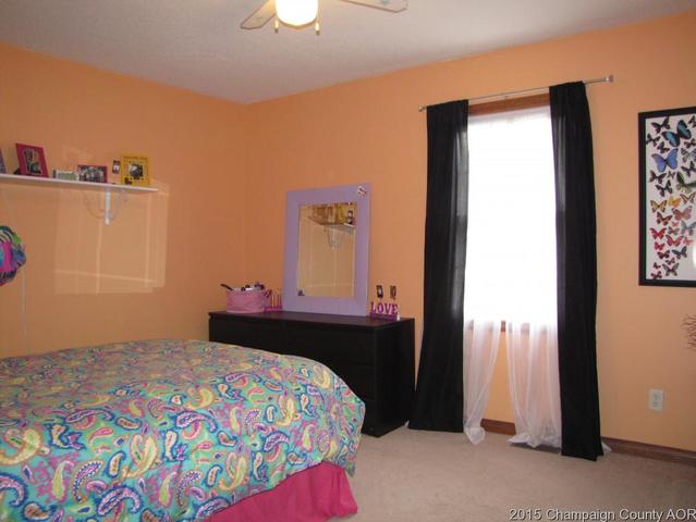 201 E Main St, Camargo, IL 61919 photo 10