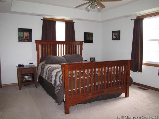 201 E Main St, Camargo, IL 61919 photo 14