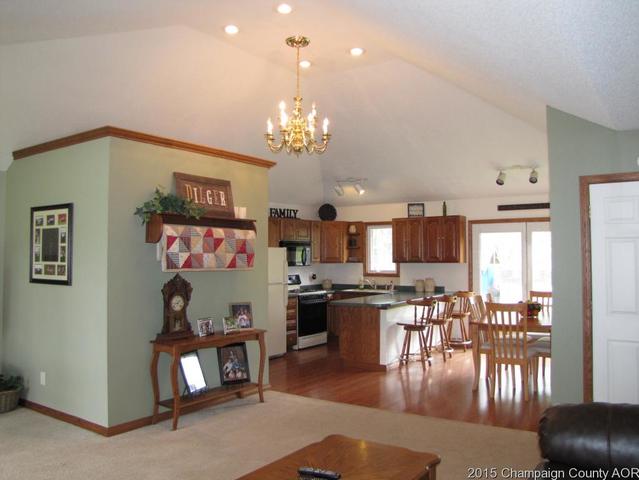 201 E Main St, Camargo, IL 61919 photo 4