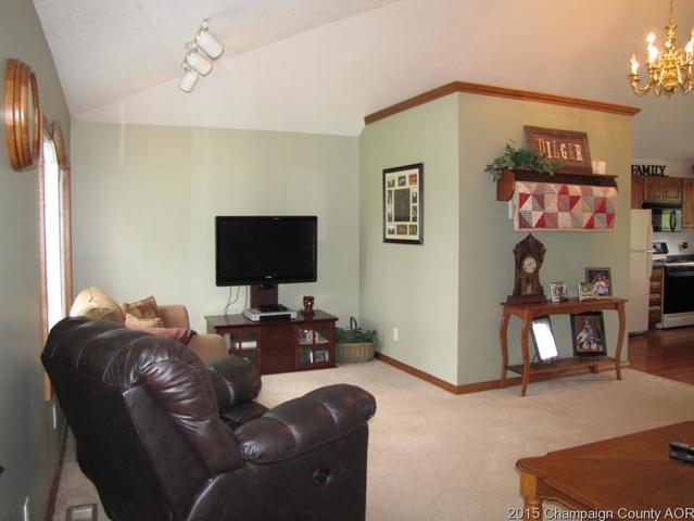201 E Main St, Camargo, IL 61919 photo 2