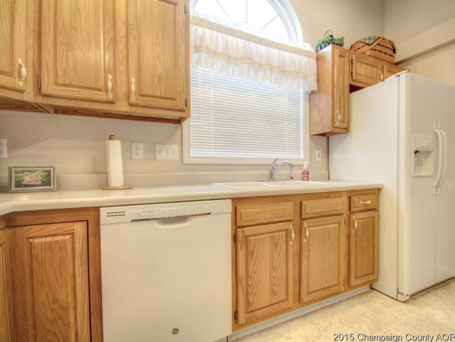 2007 Appletree Dr, Monticello, IL 61856 photo 10