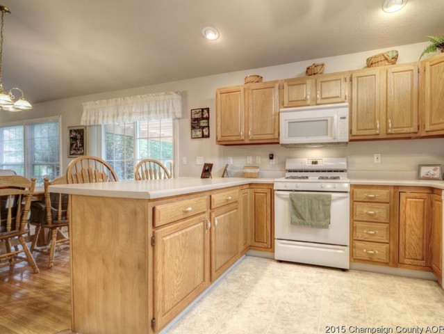 2007 Appletree Dr, Monticello, IL 61856 photo 9