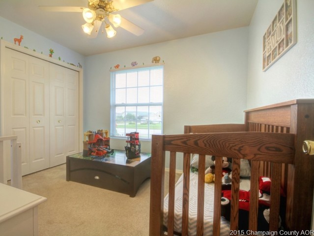 2007 Appletree Dr, Monticello, IL 61856 photo 15