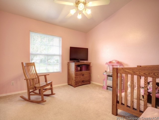 2007 Appletree Dr, Monticello, IL 61856 photo 16