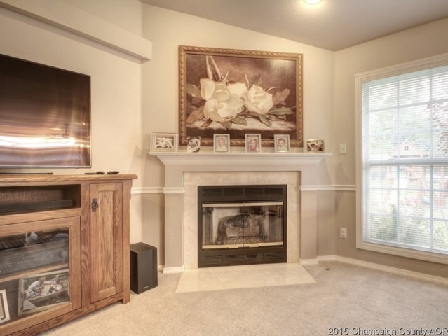 2007 Appletree Dr, Monticello, IL 61856 photo 5