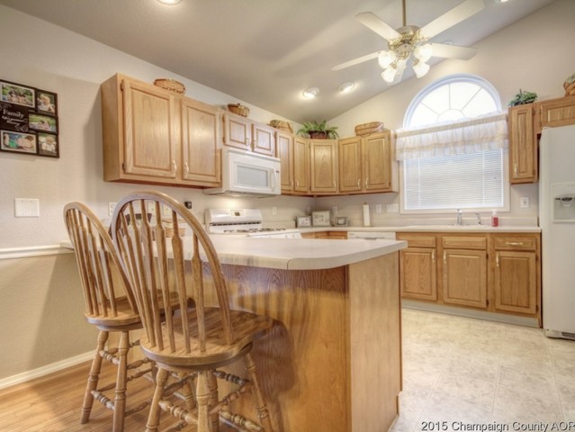 2007 Appletree Dr, Monticello, IL 61856 photo 11