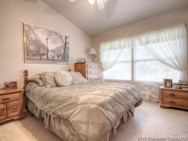 2007 Appletree Dr, Monticello, IL 61856 photo 13