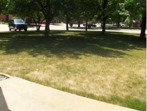 Undisclosed, Champaign, IL 61821 photo 7