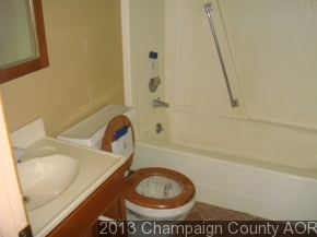 228 E Thomas, Ludlow, IL 60949 photo 15