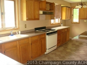 228 E Thomas, Ludlow, IL 60949 photo 16