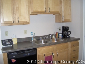 605 Castleton Dr, Champaign, IL 61821 photo 8