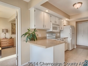 2118 Sunview Dr, Champaign, IL 61821 photo 9