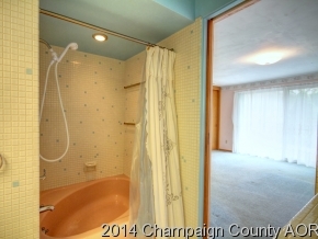 508 S Lincoln St, Philo, IL 61864 photo 11