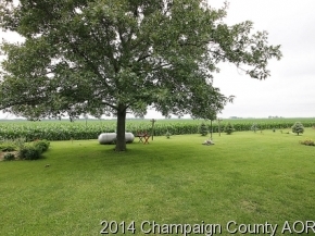 3367 Cr 800 E, Dewey, IL 61840 photo 24