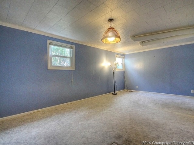 409 E Railroad St, Sidney, IL 61877 photo 17
