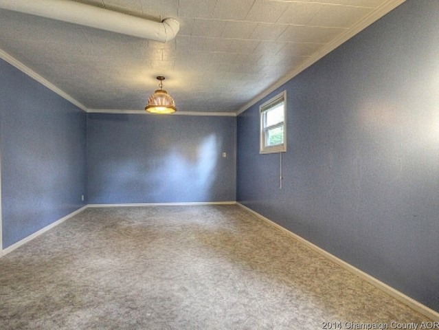 409 E Railroad St, Sidney, IL 61877 photo 16
