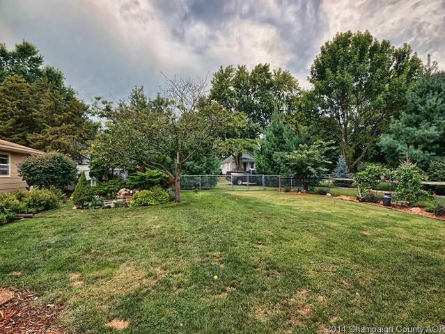 301 E Thomas St, Ludlow, IL 60949 photo 18