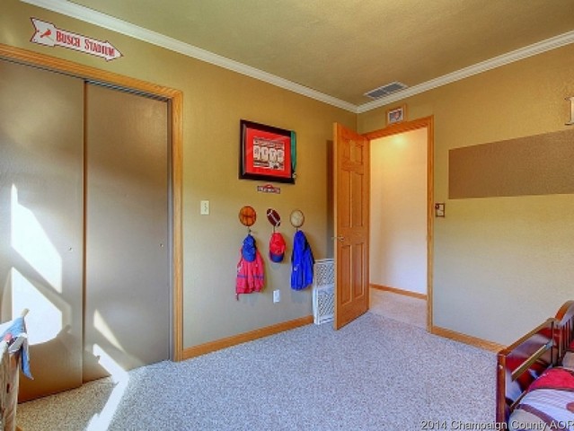 10 Bennett Dr, Monticello, IL 61856 photo 11