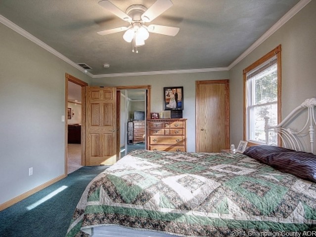 10 Bennett Dr, Monticello, IL 61856 photo 16