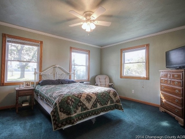 10 Bennett Dr, Monticello, IL 61856 photo 17