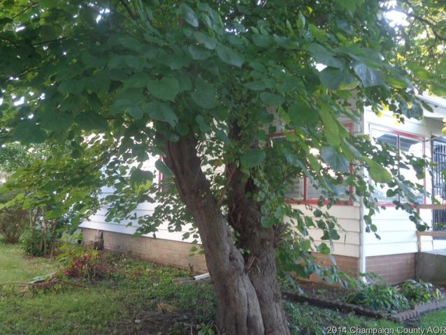 1017 Moultrie Ave, Mattoon, IL 61938 photo 6