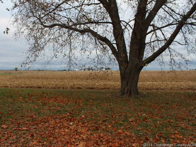 14000 E Cr 980 N Rd, Georgetown, IL 61846 photo 23