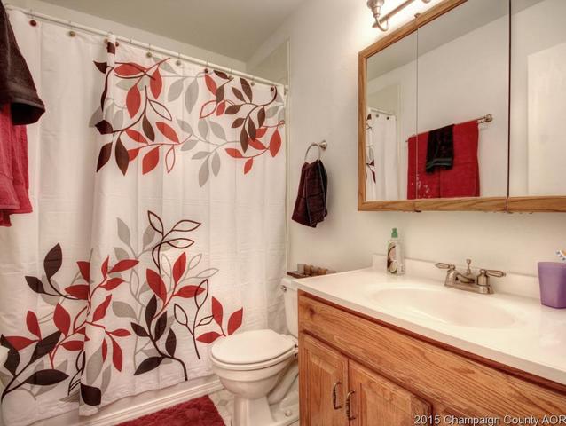 307 Eisenhower Dr, Philo, IL 61864 photo 13
