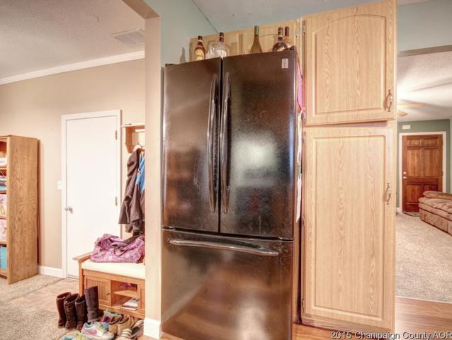 307 Eisenhower Dr, Philo, IL 61864 photo 9