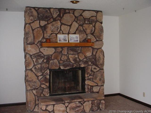 12 James Ct, Sidney, IL 61877 photo 5
