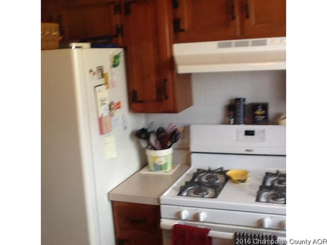 633 N Piatt St, Bement, IL 61813 photo 13