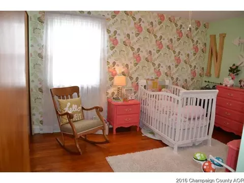 321 S Pne, Arthur, IL 61911 photo 9