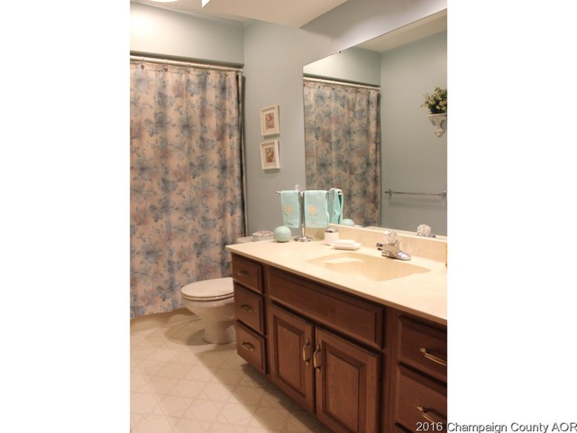 8 Wesley Ct, Sidney, IL 61877 photo 21