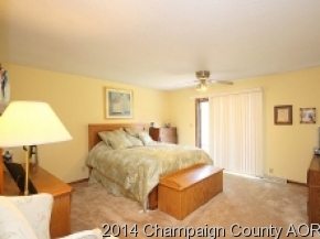 300 E Franklin St, Bement, IL 61813 photo 15