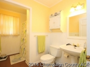 300 E Franklin St, Bement, IL 61813 photo 23