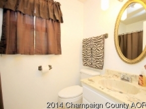 300 E Franklin St, Bement, IL 61813 photo 20
