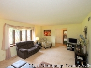 300 E Franklin St, Bement, IL 61813 photo 7