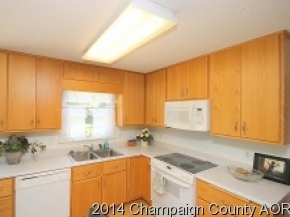 300 E Franklin St, Bement, IL 61813 photo 13