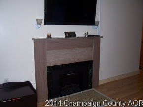 205 E River Rd, Tolono, IL 61880 photo 4