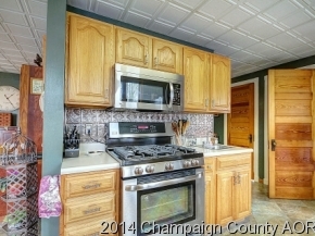 201 E Jefferson, Philo, IL 61864 photo 14