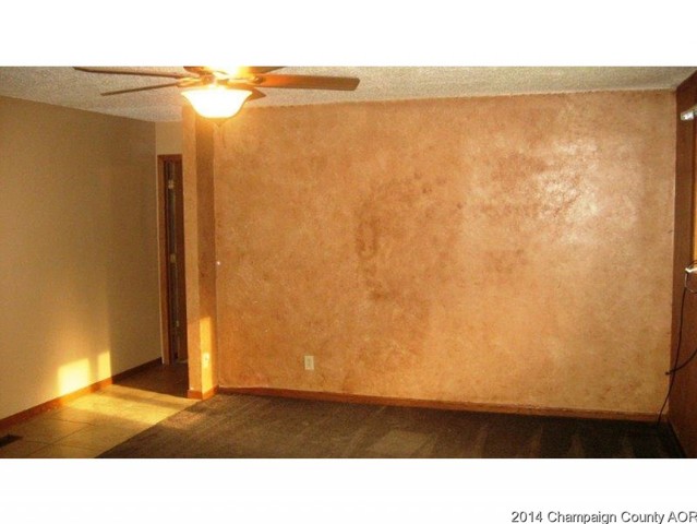 308 E North St, Mansfield, IL 61854 photo 11