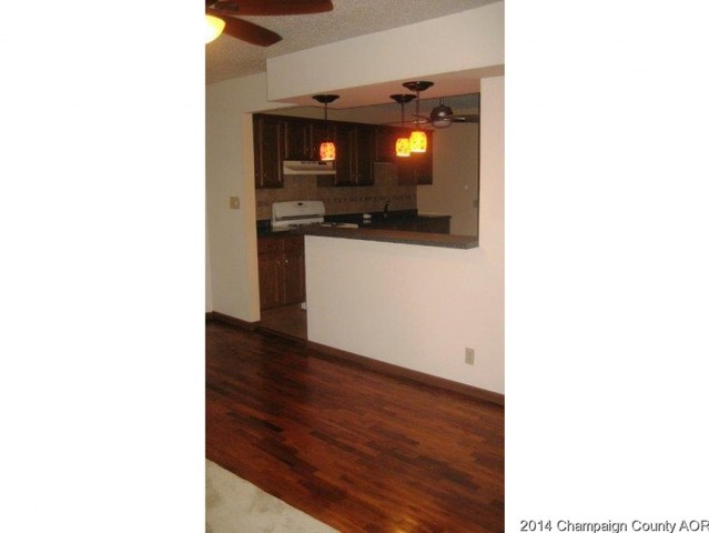 308 E North St, Mansfield, IL 61854 photo 7