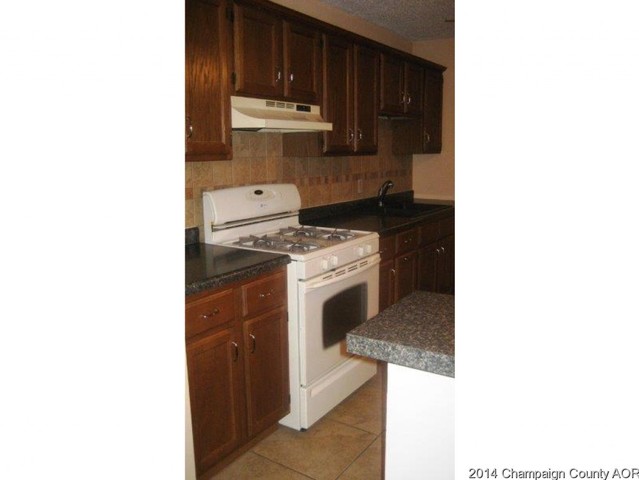 308 E North St, Mansfield, IL 61854 photo 8