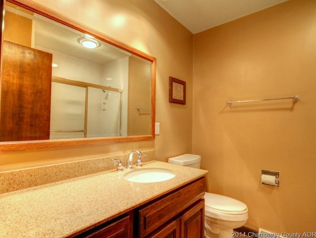 301 N Sangamon St, Bement, IL 61813 photo 20