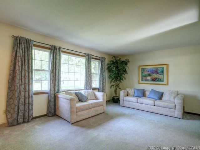 301 N Sangamon St, Bement, IL 61813 photo 4