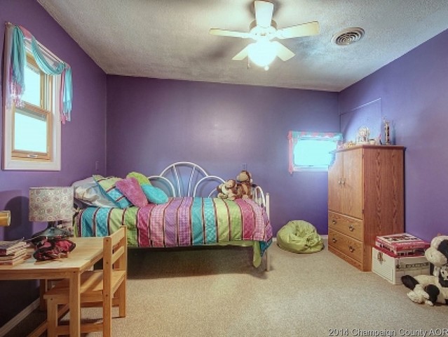 508 E Walnut, Tolono, IL 61880 photo 18